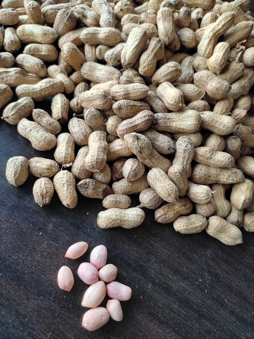 products-farmcoagroproducts-bizknow.in-3