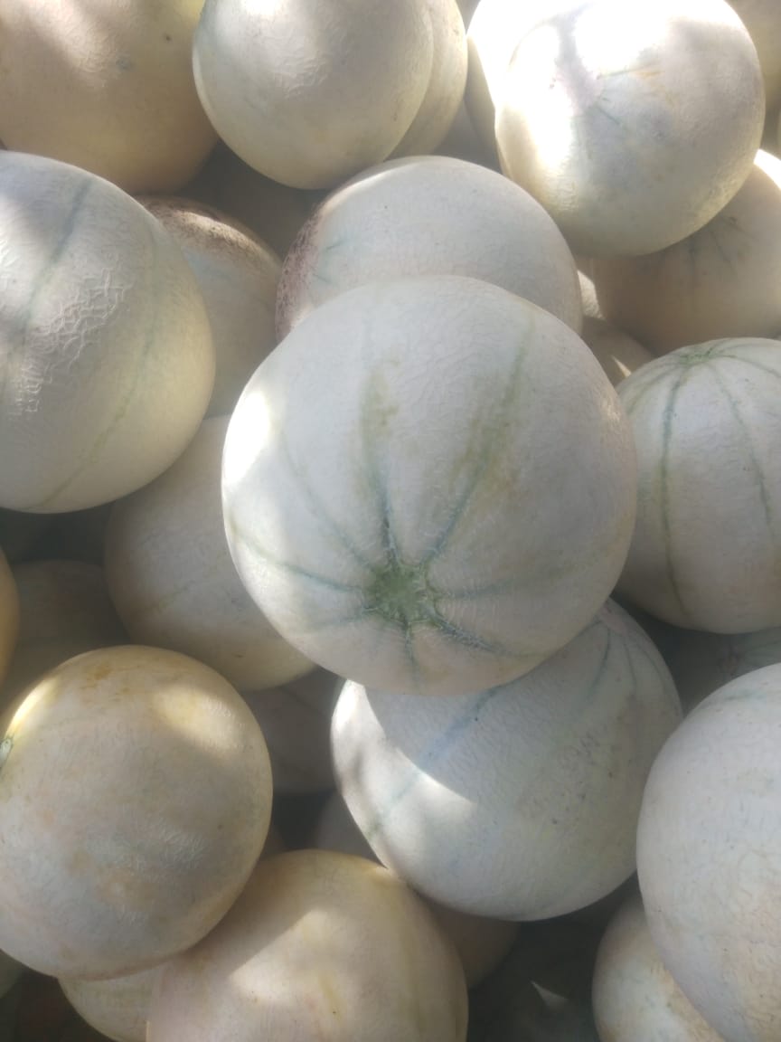 products-farmcoagroproducts-bizknow.in-4