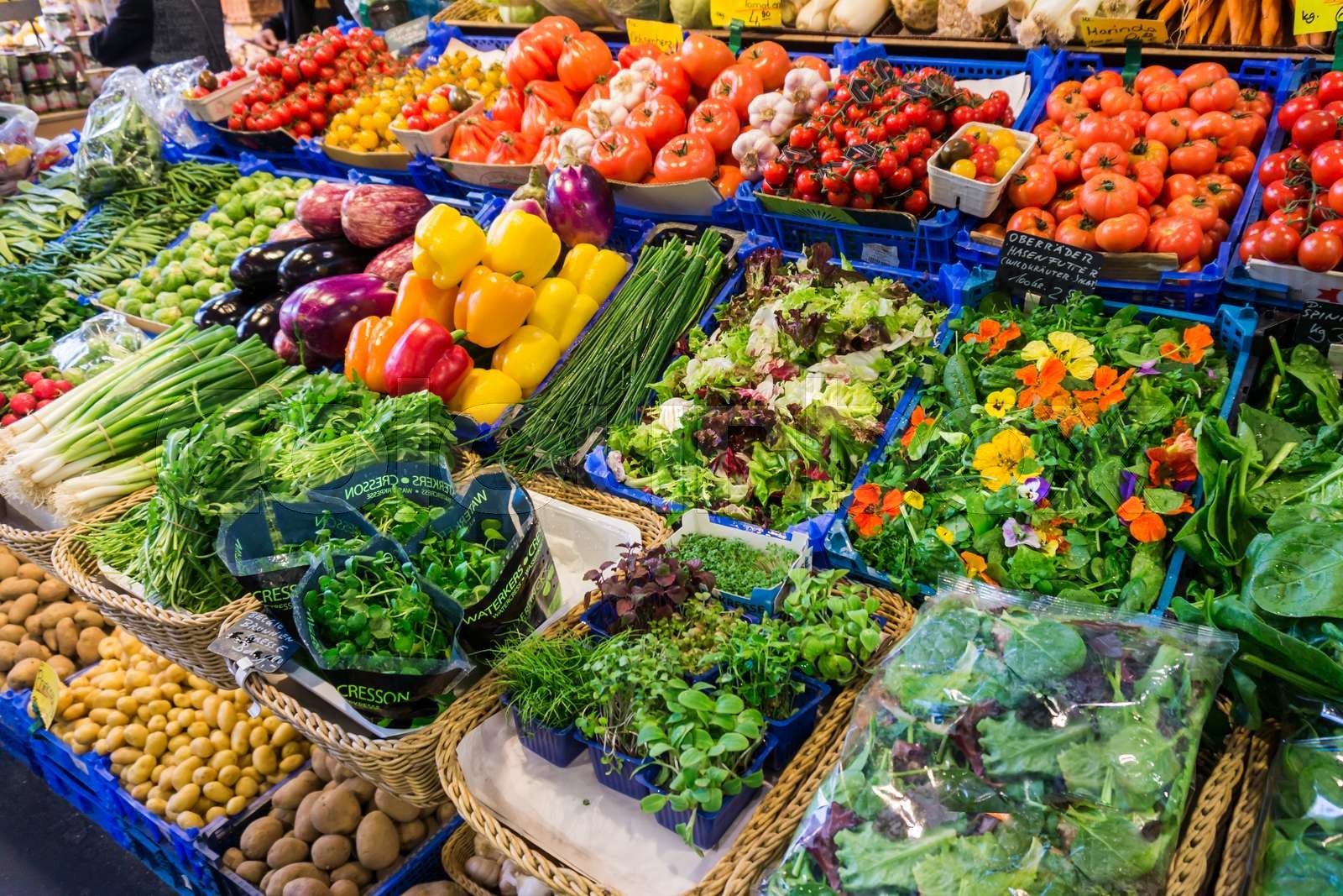 fresh-veggies-dcornmart-grobizz.in3